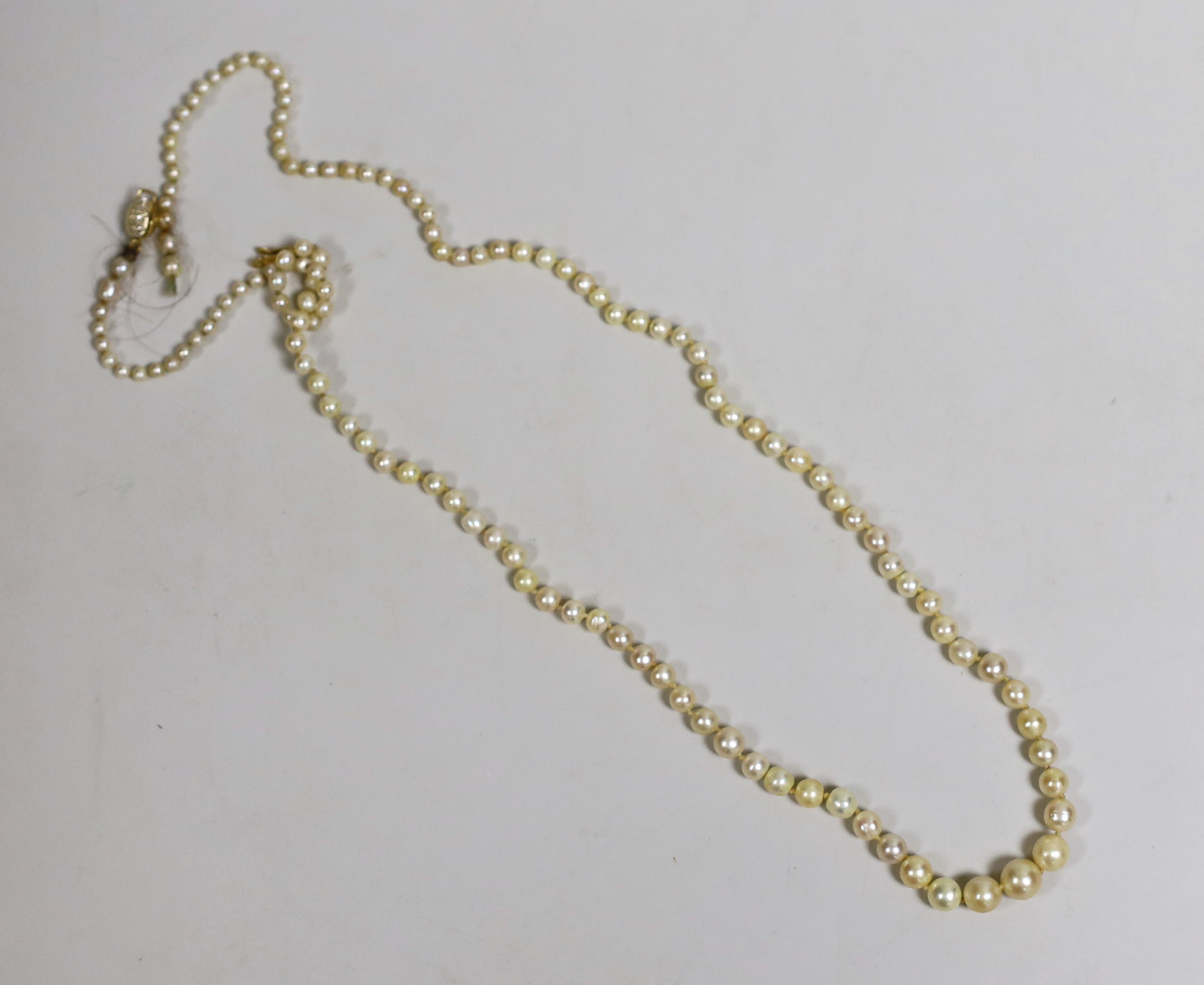 A single strand graduated natural pearl necklace (needs re-stringing), with accompanying Gem & Pearl Testing Laboratory of Bahrain report.